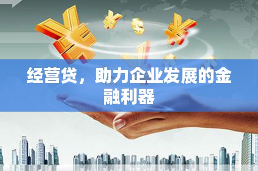 德清经营贷，助力企业发展的金融利器