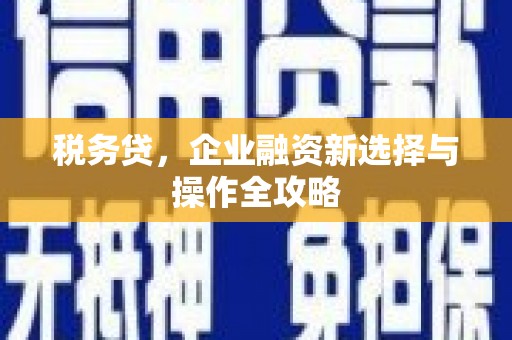 德清税务贷，企业融资新选择与操作全攻略