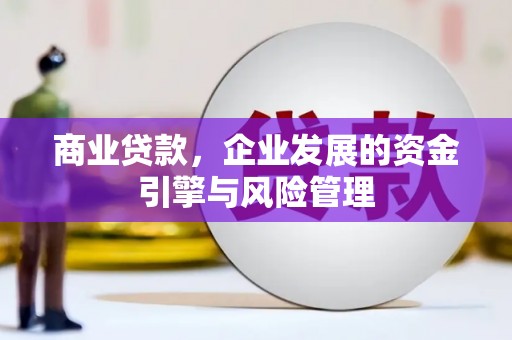 德清商业贷款，企业发展的资金引擎与风险管理
