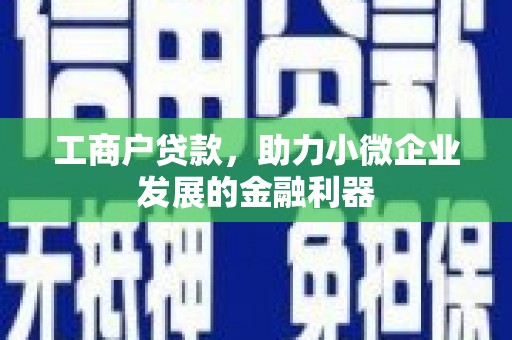 德清工商户贷款，助力小微企业发展的金融利器