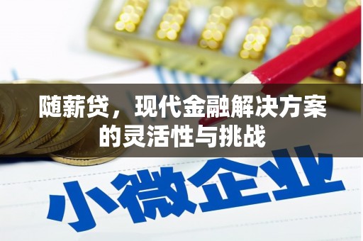 德清随薪贷，现代金融解决方案的灵活性与挑战