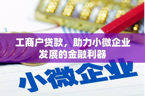 德清工商户贷款，助力小微企业发展的金融利器
