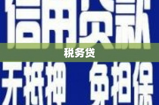 德清税务贷