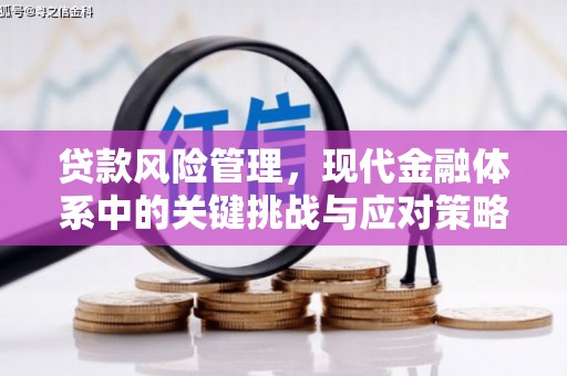 德清贷款风险管理，现代金融体系中的关键挑战与应对策略