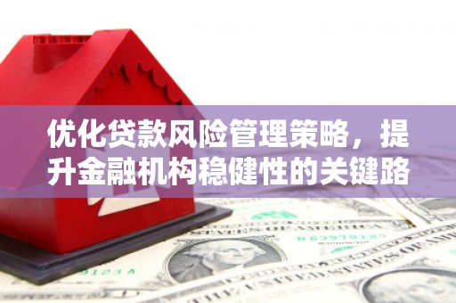 德清优化贷款风险管理策略，提升金融机构稳健性的关键路径