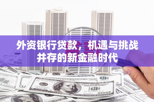 德清外资银行贷款，机遇与挑战并存的新金融时代