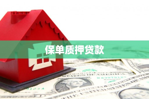 德清保单质押贷款