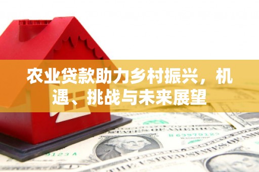 德清农业贷款助力乡村振兴，机遇、挑战与未来展望