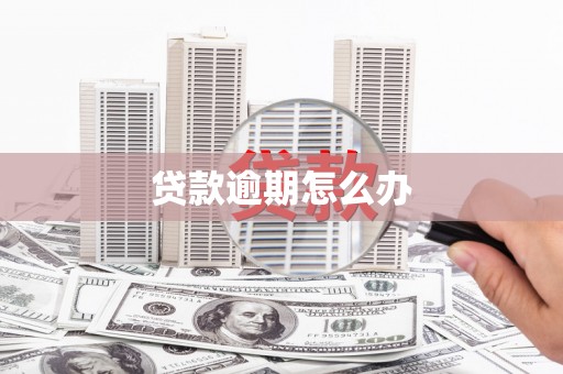 德清贷款逾期怎么办