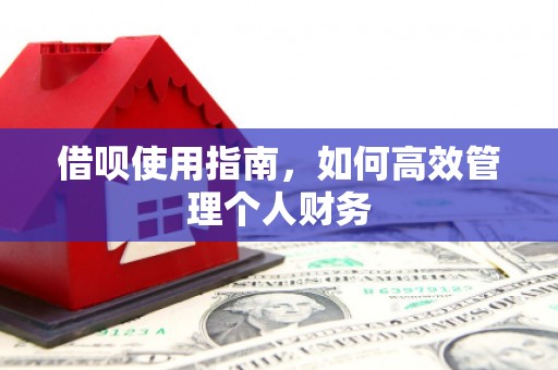 德清借呗使用指南，如何高效管理个人财务