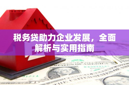 德清税务贷助力企业发展，全面解析与实用指南