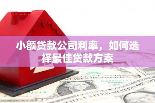 德清小额贷款公司利率，如何选择最佳贷款方案