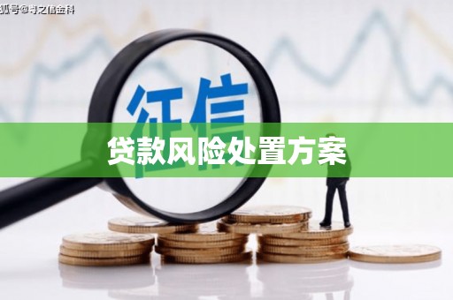 德清贷款风险处置方案