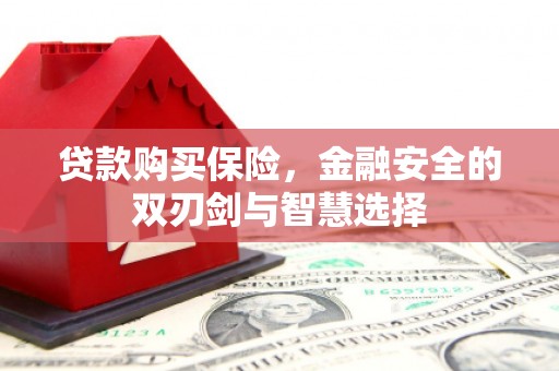 德清贷款购买保险，金融安全的双刃剑与智慧选择