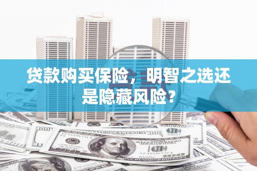 德清贷款购买保险，明智之选还是隐藏风险？