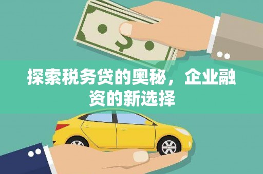 德清探索税务贷的奥秘，企业融资的新选择