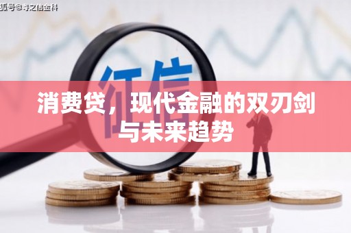 德清消费贷，现代金融的双刃剑与未来趋势