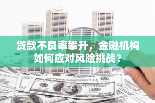 德清贷款不良率攀升，金融机构如何应对风险挑战？