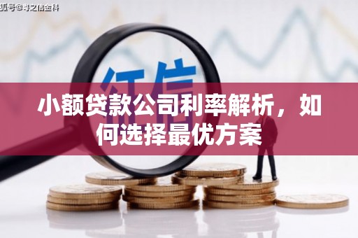 德清小额贷款公司利率解析，如何选择最优方案