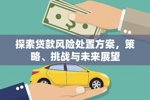德清探索贷款风险处置方案，策略、挑战与未来展望