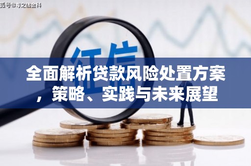 德清全面解析贷款风险处置方案，策略、实践与未来展望