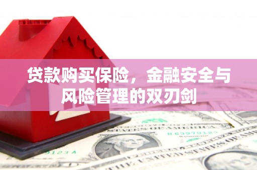 德清贷款购买保险，金融安全与风险管理的双刃剑