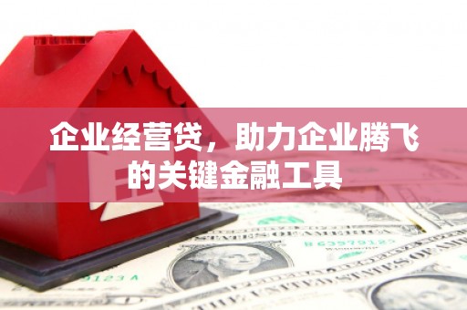 德清企业经营贷，助力企业腾飞的关键金融工具