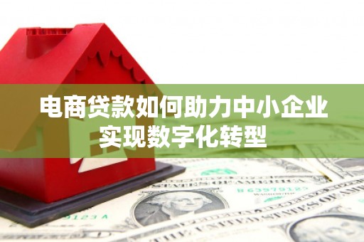德清电商贷款如何助力中小企业实现数字化转型