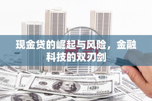 德清现金贷的崛起与风险，金融科技的双刃剑