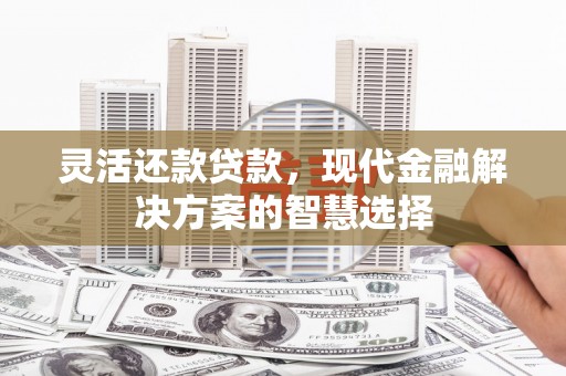 德清灵活还款贷款，现代金融解决方案的智慧选择