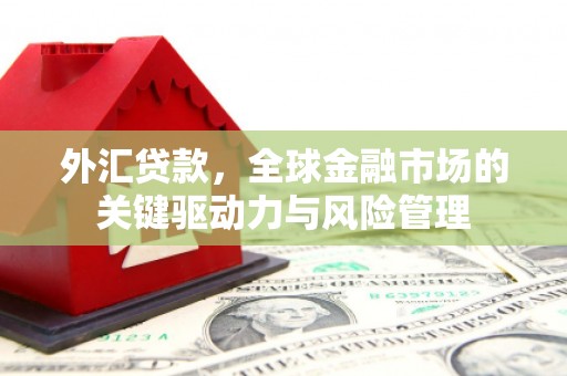 德清外汇贷款，全球金融市场的关键驱动力与风险管理