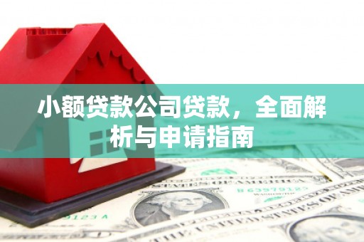 德清小额贷款公司贷款，全面解析与申请指南