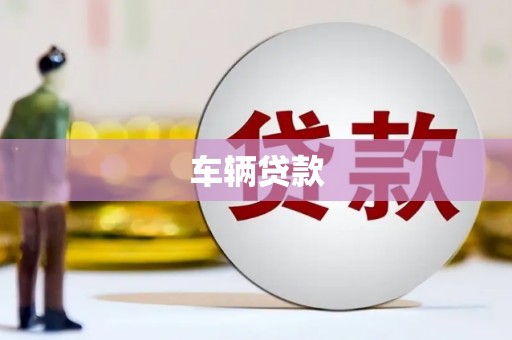 德清车辆贷款