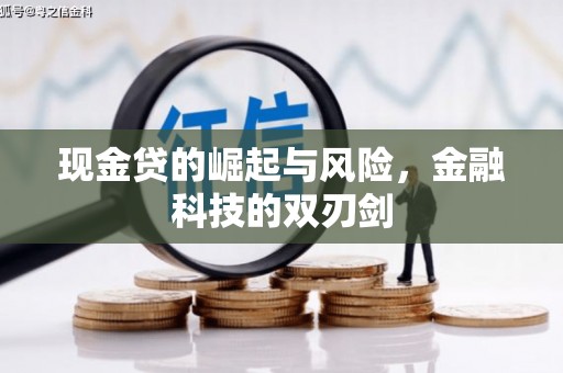 德清现金贷的崛起与风险，金融科技的双刃剑