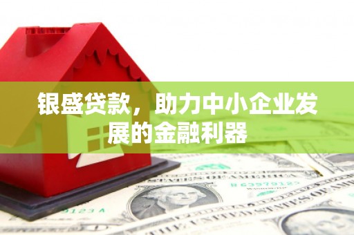 德清银盛贷款，助力中小企业发展的金融利器