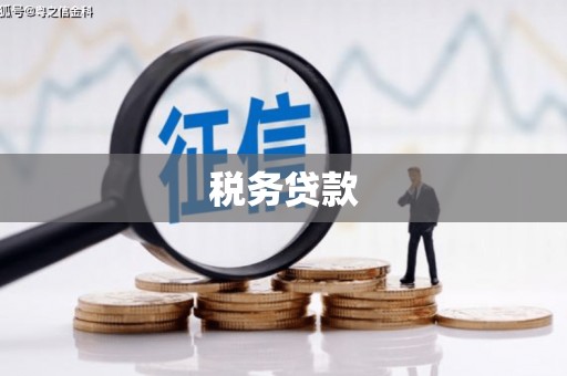 德清税务贷款