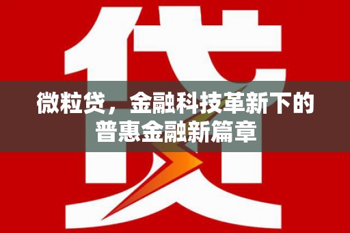 德清微粒贷，金融科技革新下的普惠金融新篇章