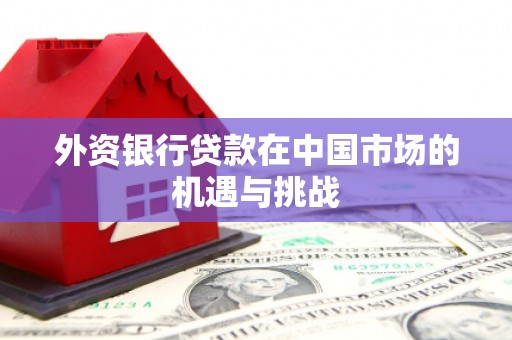 德清外资银行贷款在中国市场的机遇与挑战