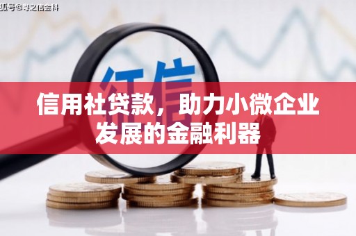 德清信用社贷款，助力小微企业发展的金融利器