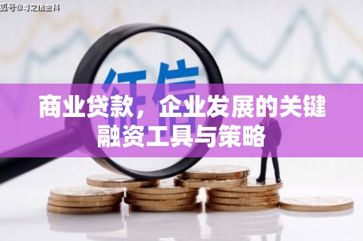 德清商业贷款，企业发展的关键融资工具与策略