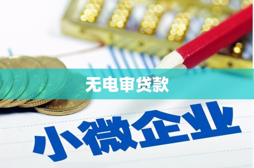 德清无电审贷款