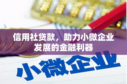 德清信用社贷款，助力小微企业发展的金融利器