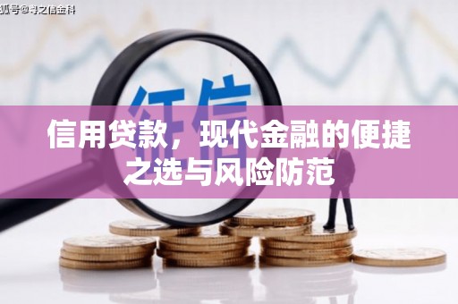 德清信用贷款，现代金融的便捷之选与风险防范