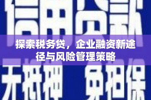 德清探索税务贷，企业融资新途径与风险管理策略