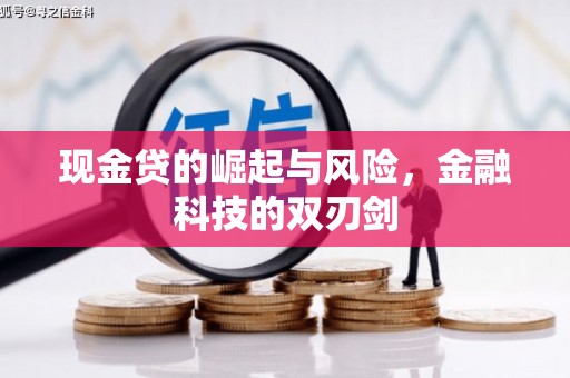 德清现金贷的崛起与风险，金融科技的双刃剑