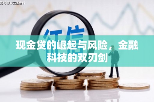 德清现金贷的崛起与风险，金融科技的双刃剑