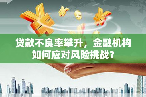 德清贷款不良率攀升，金融机构如何应对风险挑战？