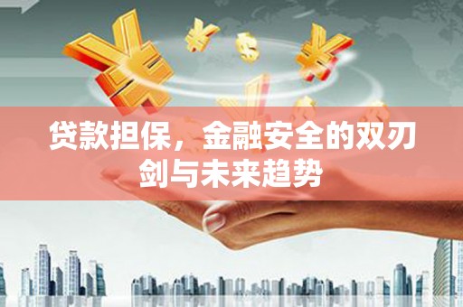 德清贷款担保，金融安全的双刃剑与未来趋势