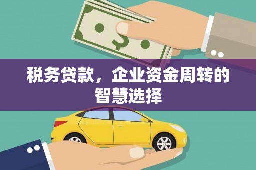 德清税务贷款，企业资金周转的智慧选择
