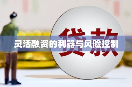 德清灵活融资的利器与风险控制